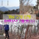 고성식육점 이미지