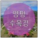 형제3급부분정비 | 양평 수목장 위치와 접근성 체크 포인트, 실제 방문 전 알아야 할 핵심 정보