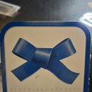 라파쏘나 이미지