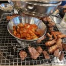 야외돼지 이미지