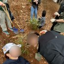 생명나무숲 | 식목일 나무심기봉사 🌳생명의숲 카카오같이가치