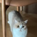 민보석