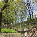 덕절산생태공원 | 청도 산책명소 덕절산 자연생태공원 주차 동선 정리
