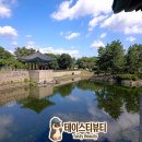 경주로여행 | 경주 동궁과 월지 연꽃 단지 개화 상황 입장료 무료 주차 7월 여름 여행 솔직후기