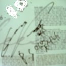 엠씨싸인
