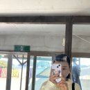 나진마을회관 | [개도여행] 여수 개도 2박 3일 여행 후기②(꽃섬식당, 나진국밥)
