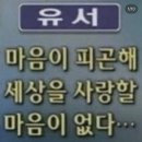채우린 네이버블로그