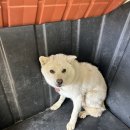 삼봉산로 이미지