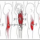 BODY愛(바디애) 이미지