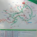 힐링산행과 문화탐방 | 보문산전망대와 활짝핀 보문산 벚꽃길 산행