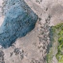 지미스테이 | 제주 구좌읍 숙소 지미스테이 코너스위트룸 상세후기