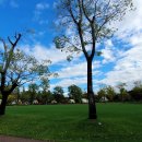 순천만국가정원 이미지