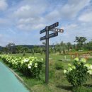 구리둘레길(4코스) 이미지