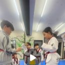 고일태권도 이미지