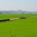 공릉천변 이미지