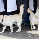 광주광역시 우치동물원 동물병원 이미지