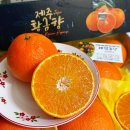 태현농장 | 제주감귤 선물세트 태현농장 새콤한 황금향 택배