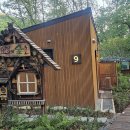 도시의숲 이미지