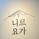 니르요가 | [방배동요가/내방역요가추천/니르요가/내돈내산]