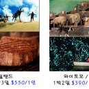 스페셜여행사 이미지