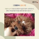 견물화식 이미지