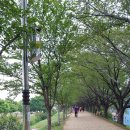 금호강따라 동촌유원지 걷기(동촌역 - 수성페밀리파크 - 동촌유원지 - 아양교역)