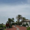 E.L농장 | 제주 서쪽 카페 인스밀 이국적인 감성 블루리본 내돈내산