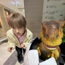 파켄