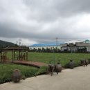 영완농장 | ‘21. 6 남자 3명 제주도 여행 후기