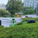 중계본동 이미지