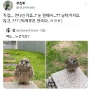 계 이미지