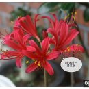 화톳불 - 속초시 | 화톳불