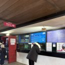 한창바이크 | 제주 가볼만한곳 추천｜부모님과 함께한 제주 동쪽 가볼만한곳 제주레일바이크 후기