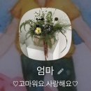 세븐헌드레드 꽃꽂이 클래스 후기