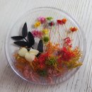 반석종합사회복지관 | 강사파견 시니어인지 프로그램 공예활동(압화 컵 받침대) 만들기 웃음치료 감정코칭 반석종합사회복지관