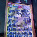 4737 | [카페] 천안아쿠아리움 방문 후기｜열대어·거북이·크레스티드게코까지 볼 수 있는 수족관 카페 팀아쿠아