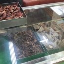 원제한의원 이미지