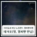 기쁨가득주유소 | 뉴질랜드 캠퍼밴 여행 테카포의 잊지 못할 밤하늘(캠퍼밴 반납, 가스충전, 크라이스트처치 아웃)