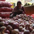 아시아는 인도의 양파 수출 금지로 인해 고통을 느낀다 이미지