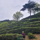 구재봉자연휴양림(하동) 이미지