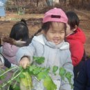 꽃뫼농원 이미지