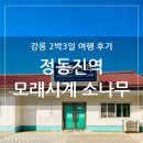 강원도 강릉 2박3일 여행 후기, 정동진역 모래시계 소나무