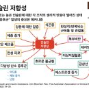 골골쏭