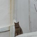 금두꺼비 민박 이미지