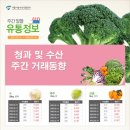 대강청과