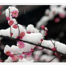 달란트립