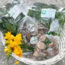 양동농협하나로마트 이미지