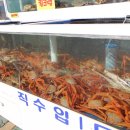 선미수산식당 이미지