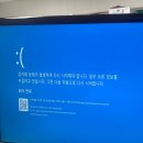 효자송주차장 앞 | 2025. 7.