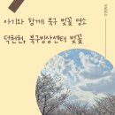 북구 빙상센터 입구 | [부산 북구 벚꽃 명당] 아기와 함께 가기좋은 덕천천, 빙상센터 벚꽃 명당 소개
